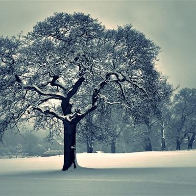 爱游戏APP·官方登录入口(ayx)