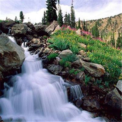 28网站app下载截图