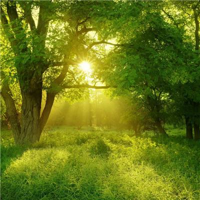 ag入口官网登录下载手机版